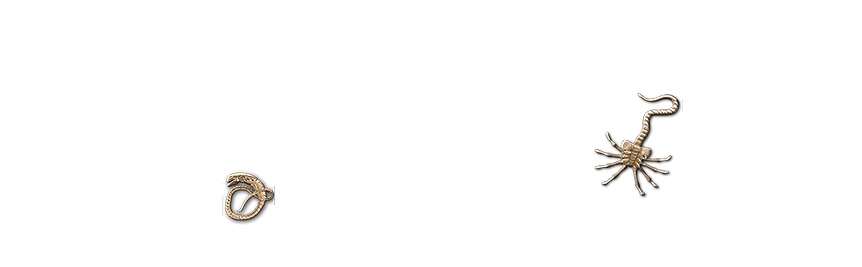 keyboard Laser Cut Specimnes